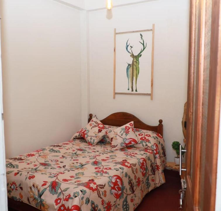 Green Heart Homestay 努沃勒埃利耶 外观 照片