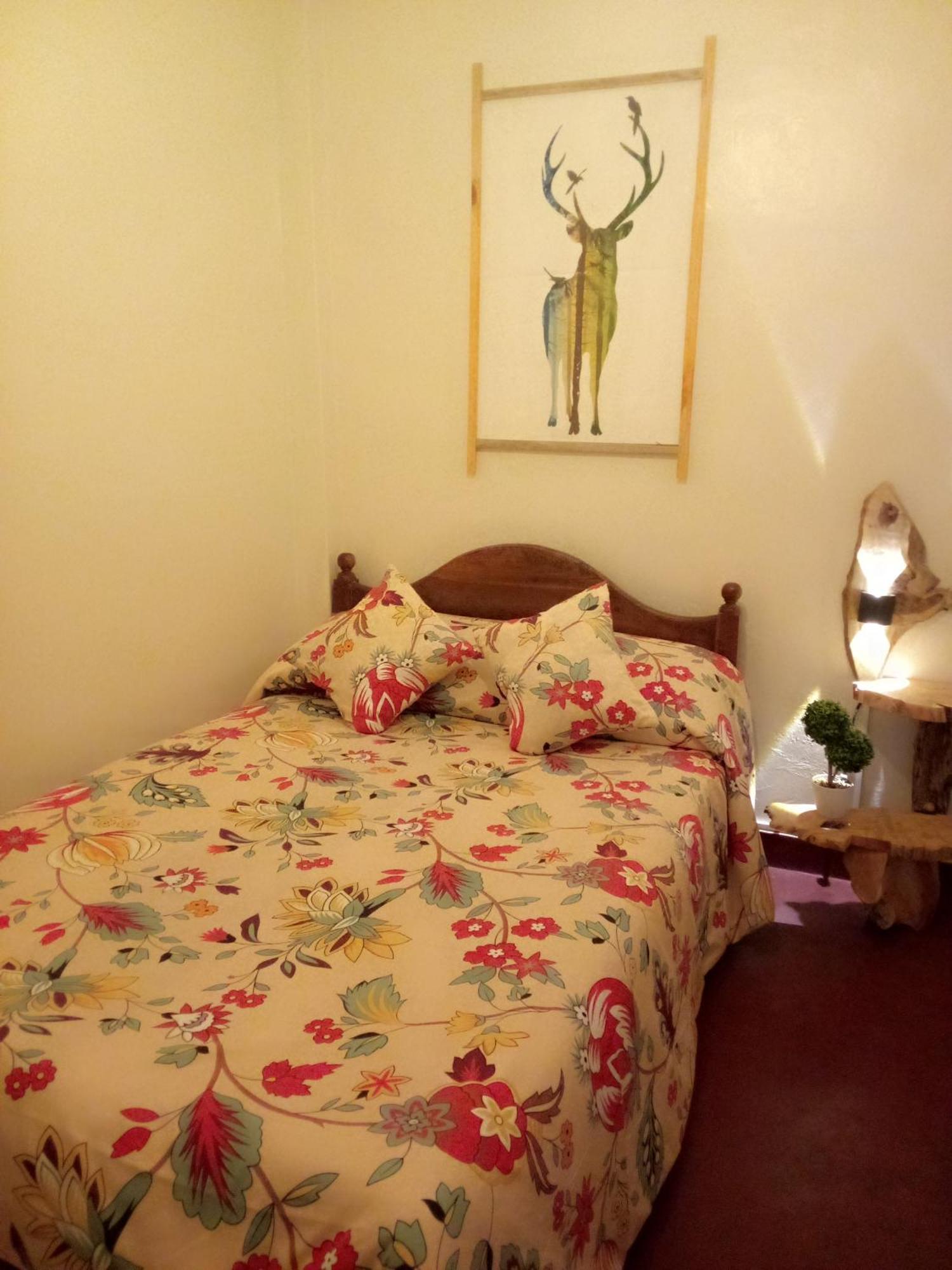 Green Heart Homestay 努沃勒埃利耶 外观 照片