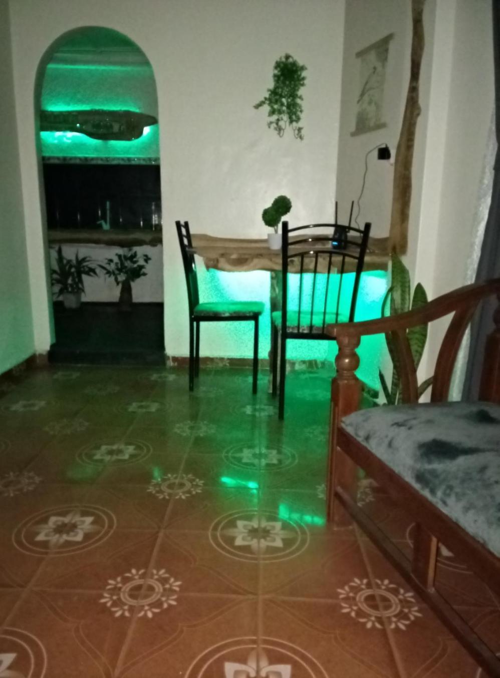 Green Heart Homestay 努沃勒埃利耶 外观 照片
